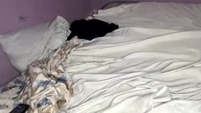 Recent Screenshot of  labonitabrazil