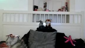 Recent Screenshot of  lanaangie