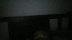 Recent Screenshot of  lanit_s4xo