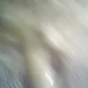 lasek666's Profile Picture