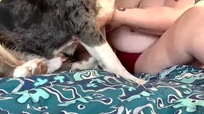 最近のスクリーンショット lbvamp1