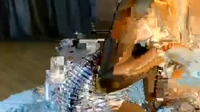 Recent Screenshot of  leisah
