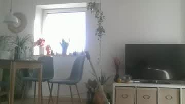 leontorax