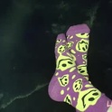 lesjoliespieds's Profile Picture