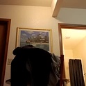 letsplay361's Profile Picture