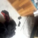 lex123570655's Profile Picture