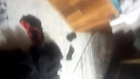 Recent Screenshot of  lex123570655