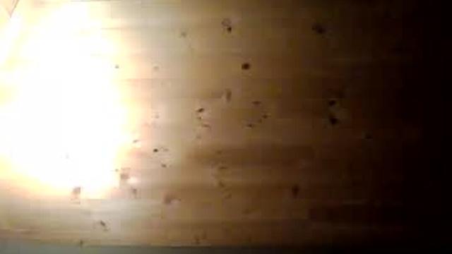 lexi5586