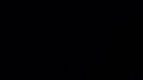 Recent Screenshot of  licablack