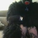 lilytrash's Profile Picture