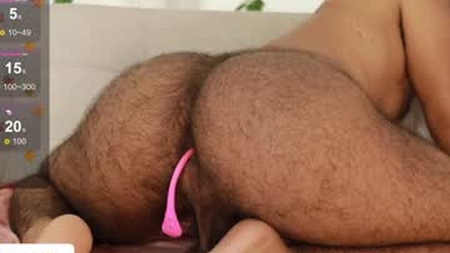 little_bear00