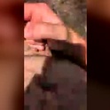 littledickhypo's Profile Picture