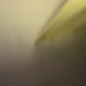 livinglife4me2's Profile Picture