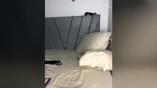 liz_ross_