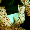 lizabellamore's Profile Picture