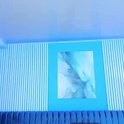 lizzievan's Profile Picture
