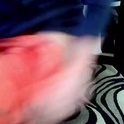 llcooljake69's Profile Picture