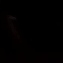lmaofingiggle's Profile Picture