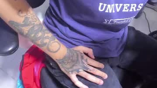 lobo_17