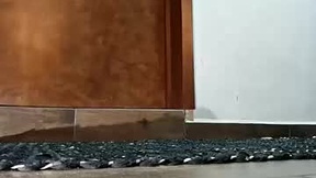 Recent Screenshot of  locked_chastity_slut