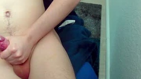 Recent Screenshot of  logi22