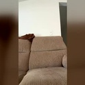 lonelyracer19's Profile Picture