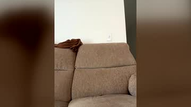 lonelyracer19