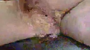 Recent Screenshot of  lovebird262389