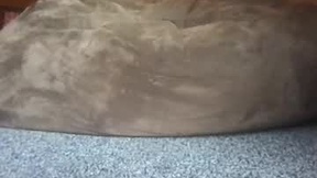 Recent Screenshot of  lozivelle