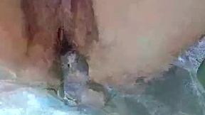 Recent Screenshot of  ltlwizttrjqs