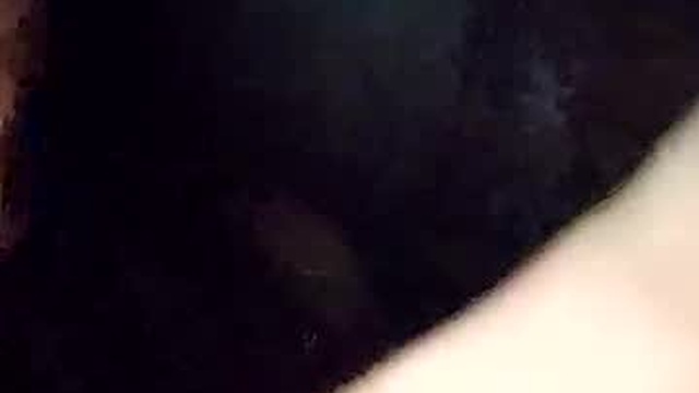 ltlwizttrjqs
