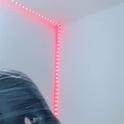 luchocole's Profile Picture
