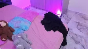 Recent Screenshot of  lucy_obsidian