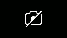 Recent Screenshot of  lucylitt25