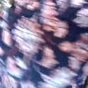 lucyloveslookers78240's Profile Picture