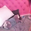 lunaaylin's Profile Picture