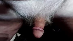 Recent Screenshot of  lwg1951