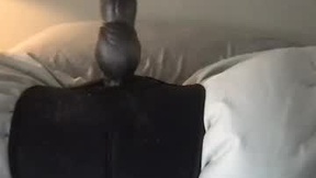 Son Ekran Görüntüsü machaleur