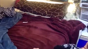 Recent Screenshot of  magic_bus_adventures