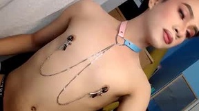 Recent Screenshot of  majestic_dream_xx