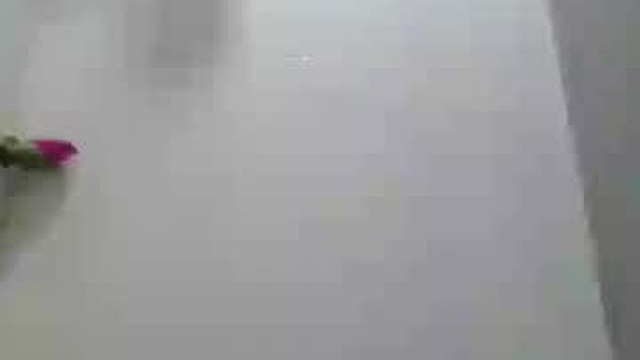 malia_moween