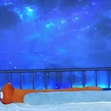 marthameow's Profile Picture