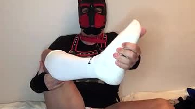maskpor2022