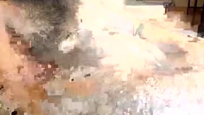 Recent Screenshot of  mastervan69