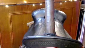 Recent Screenshot of  mavrixpage