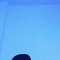 maxpower003's Profile Picture