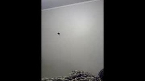 Recent Screenshot of  mccormackf84