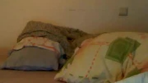 Recent Screenshot of  megamanp