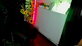 Recent Screenshot of  megan_rousse_18