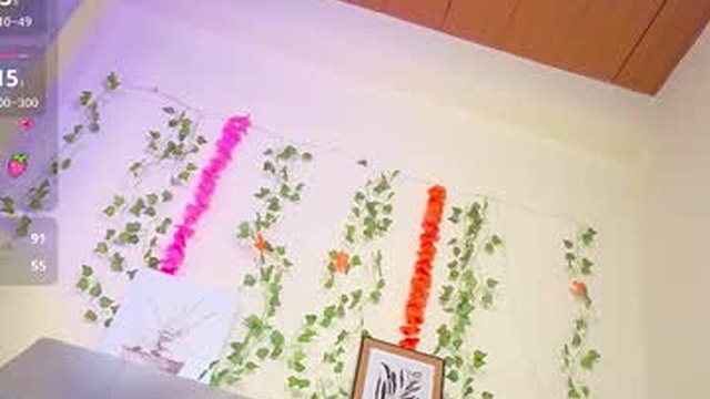melifresita